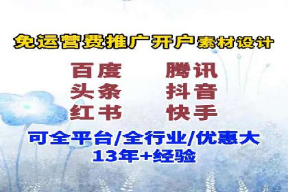 SEM服务公司成功案例解读